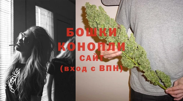 хмурый Лиски