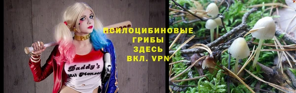 a pvp Белоозёрский