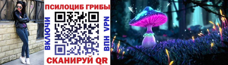 Псилоцибиновые грибы Psilocybe  наркота  Бирюсинск 